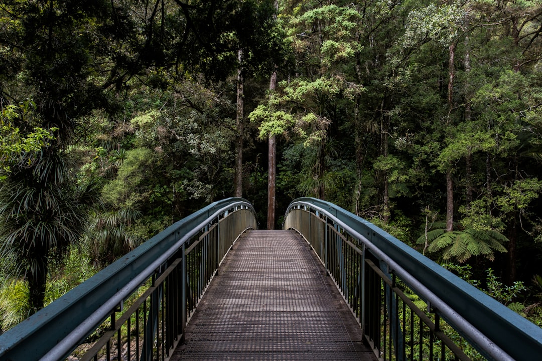 Unconventional Ways to Explore the Outdoors on a Budget