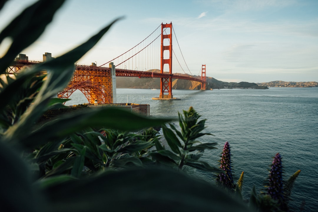 Luxury Escapes vs. Affordable Adventures: Finding Your Outdoor Bliss
